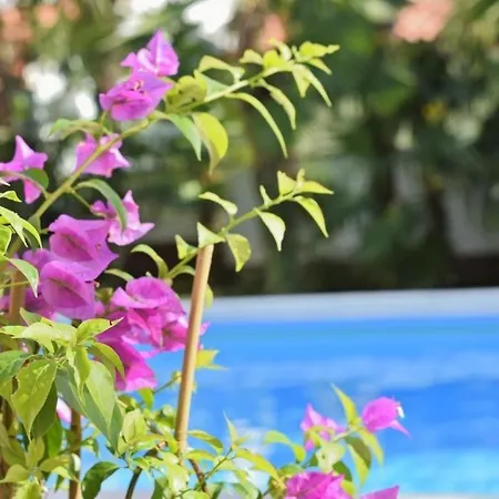 In With Balcony, Wifi 819-8 Apartment Porec